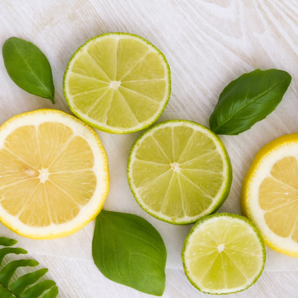 Citrus Basil- Whipped Tallow Butter 4 oz.