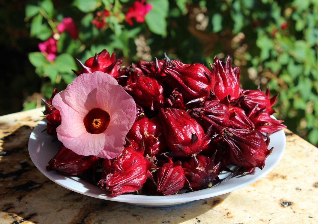 Hibiscus Tincture- (Liver Support/Weight Loss/Heart Health/ Joint Relief)