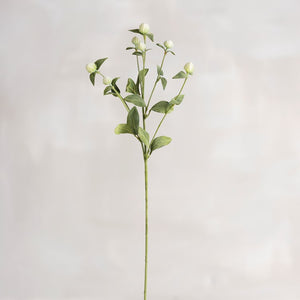 White Thistle Pick