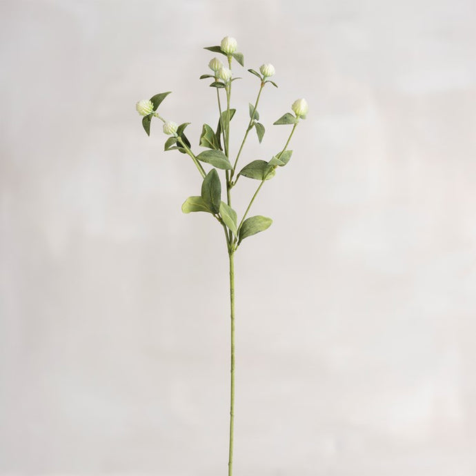 White Thistle Pick
