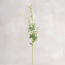 White Delphinium Pick