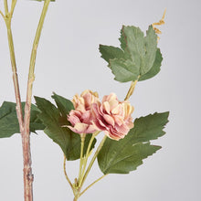 Pink Lupulus Pick