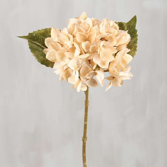 Cream Hydrangea Pick