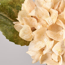 Cream Hydrangea Pick
