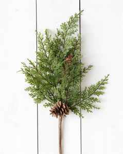 Cedar w/ Pinecones- Branch