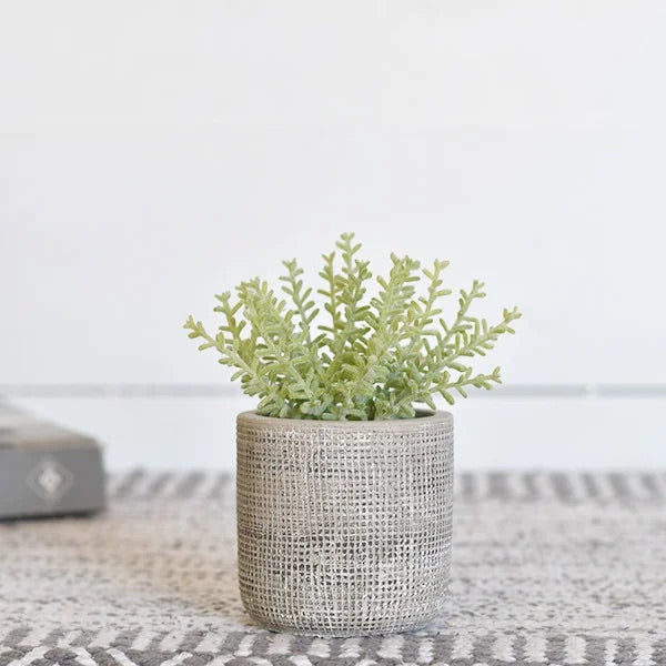 Flocked Coral In Pot