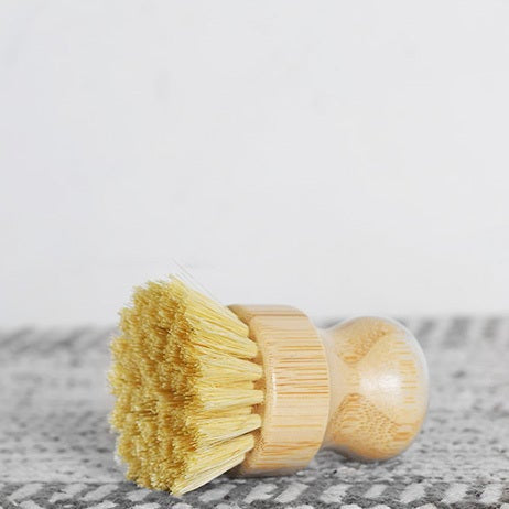 Scrub Brush