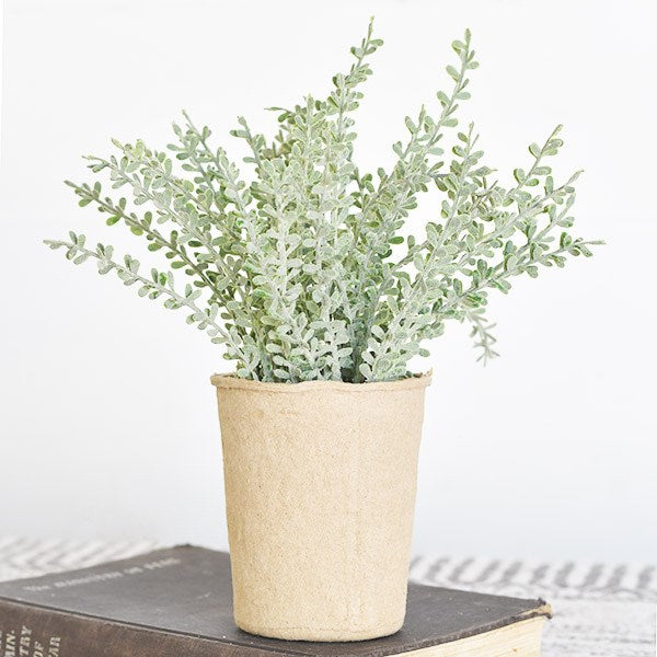 Dusty Stems In Paper Pot