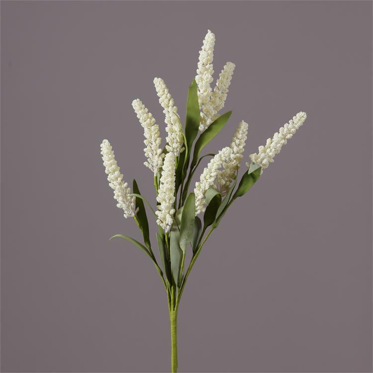 White Spike Flowers