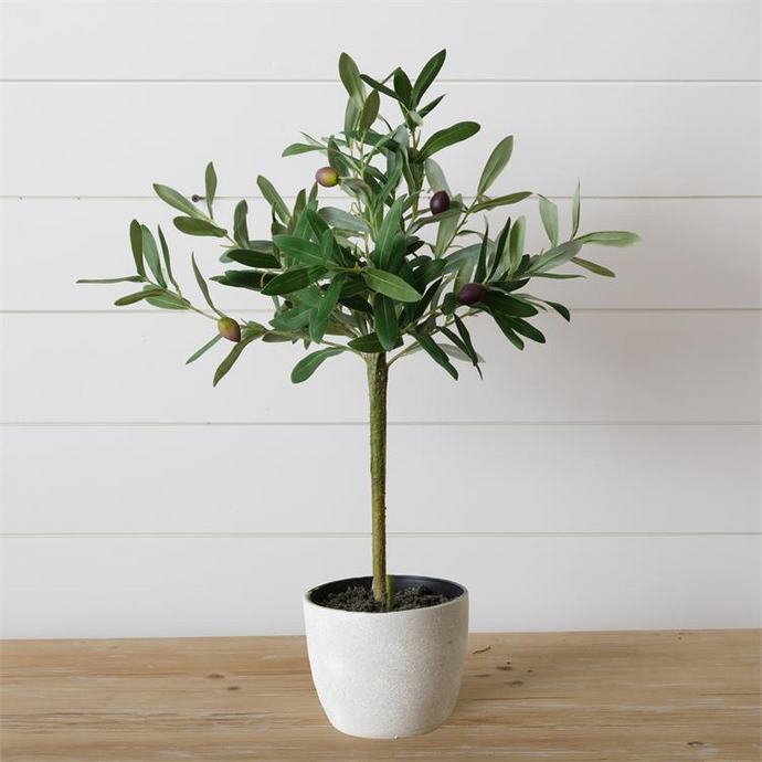 Faux Potted Olive Tree