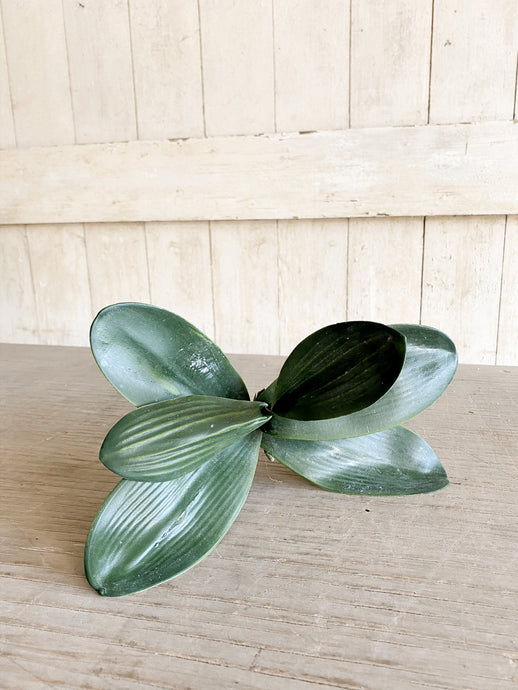 Faux Orchid Leaf