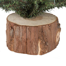 9” Pine Tree with Wood Base