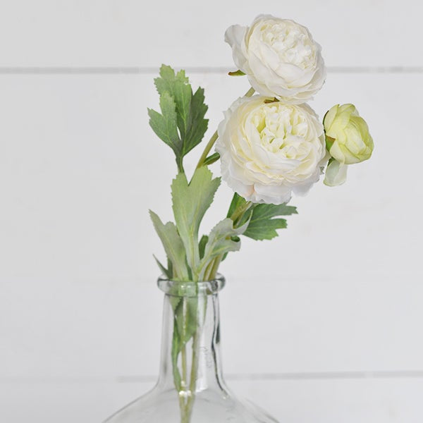 White Ranunculus Stem